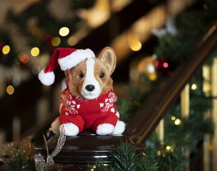 A corgi soft toy sitting on a banister wearing a Christmas jumper and Santa hat. 