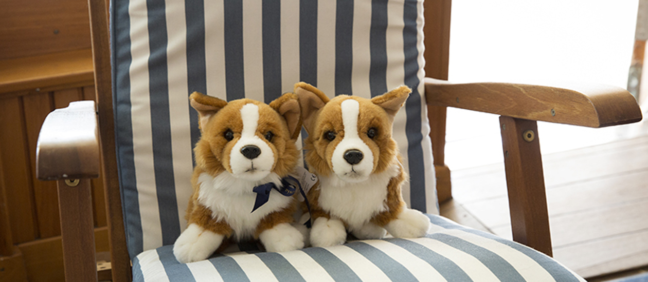 Two corgi soft toys sitting on a blue and white lounge chair. 