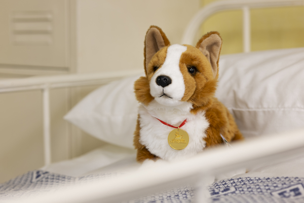 A corgi plush toy sitting on a bed in Britannia's sick bay. 