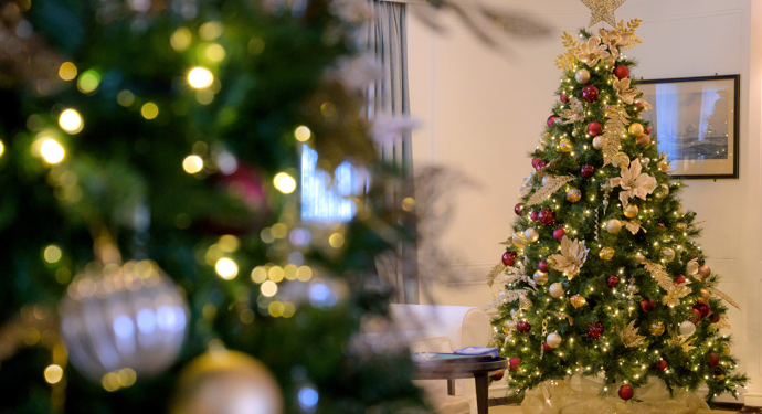 A Christmas tree is decorated in the distance with a blurred close up of a garland in the foreground