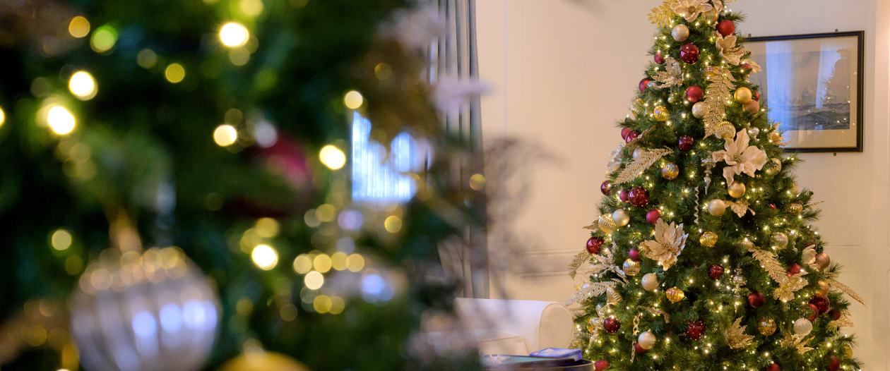 A Christmas tree is decorated in the distance with a blurred close up of a garland in the foreground