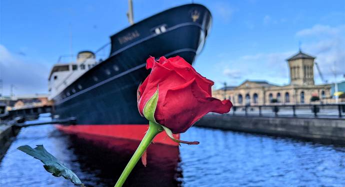 Rose outside Fingal