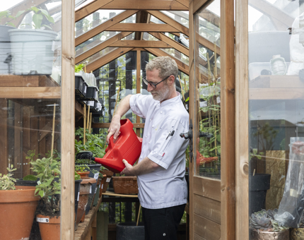 In a green house, a chef is holding a red watering can to water tomato plants in Leith. 