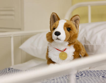 Corgi Treasure Hunt Sickbay
