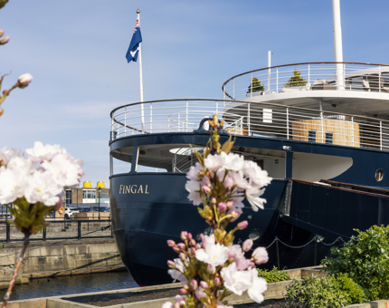 Blossom trees blooming on Fingal's Quayside