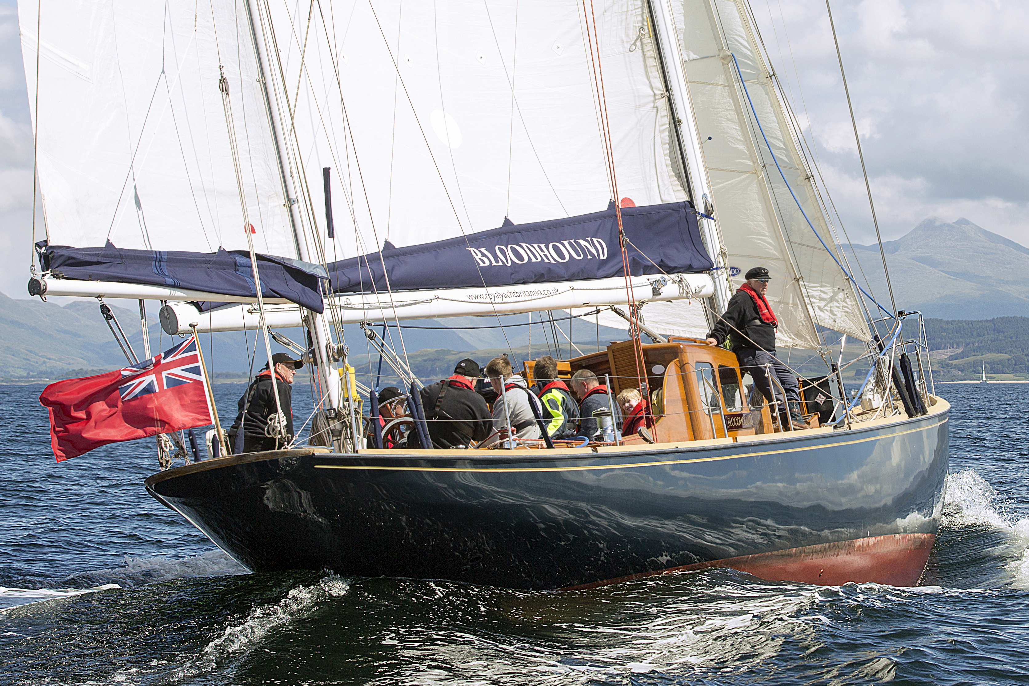Bloodhound Oban By Ruth Armstrong 4