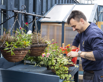A man is planting hanging baskets with plants and flowers. 