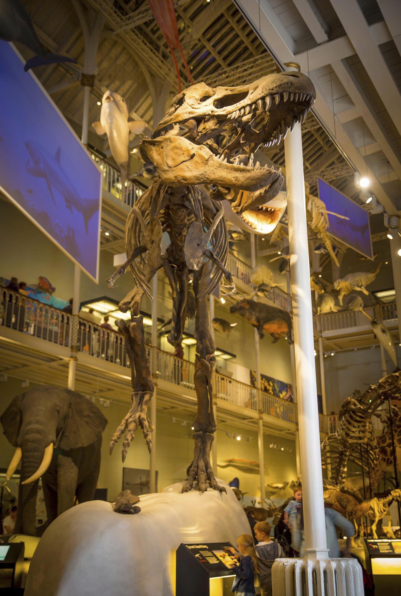 National Museum Of Scotland