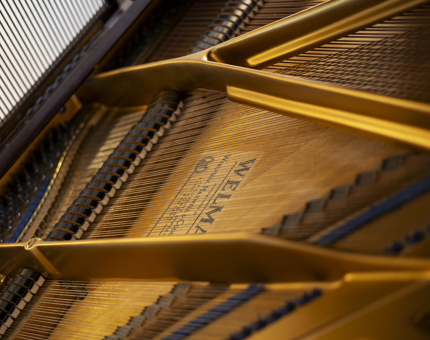 A close up of the interior of a Welmar baby grand piano. 