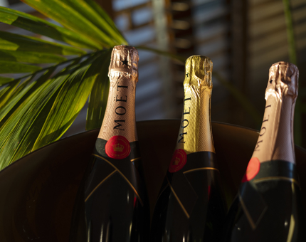 Three bottles of Moet and Chandon Champagne. 